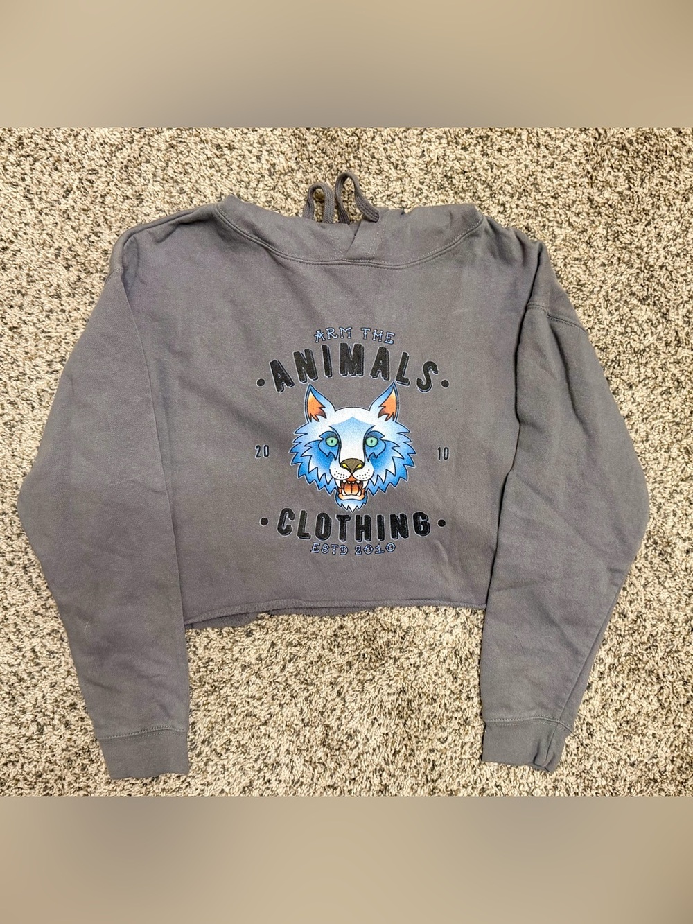 Land Seven Gray Cropped Graphic Hoodie ‘Arm The Animals’ - Size Small